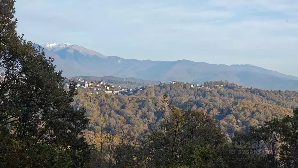 Участок в Краснодарский край, Сочи городской округ, с. Орел-Изумруд ... - Фото 2