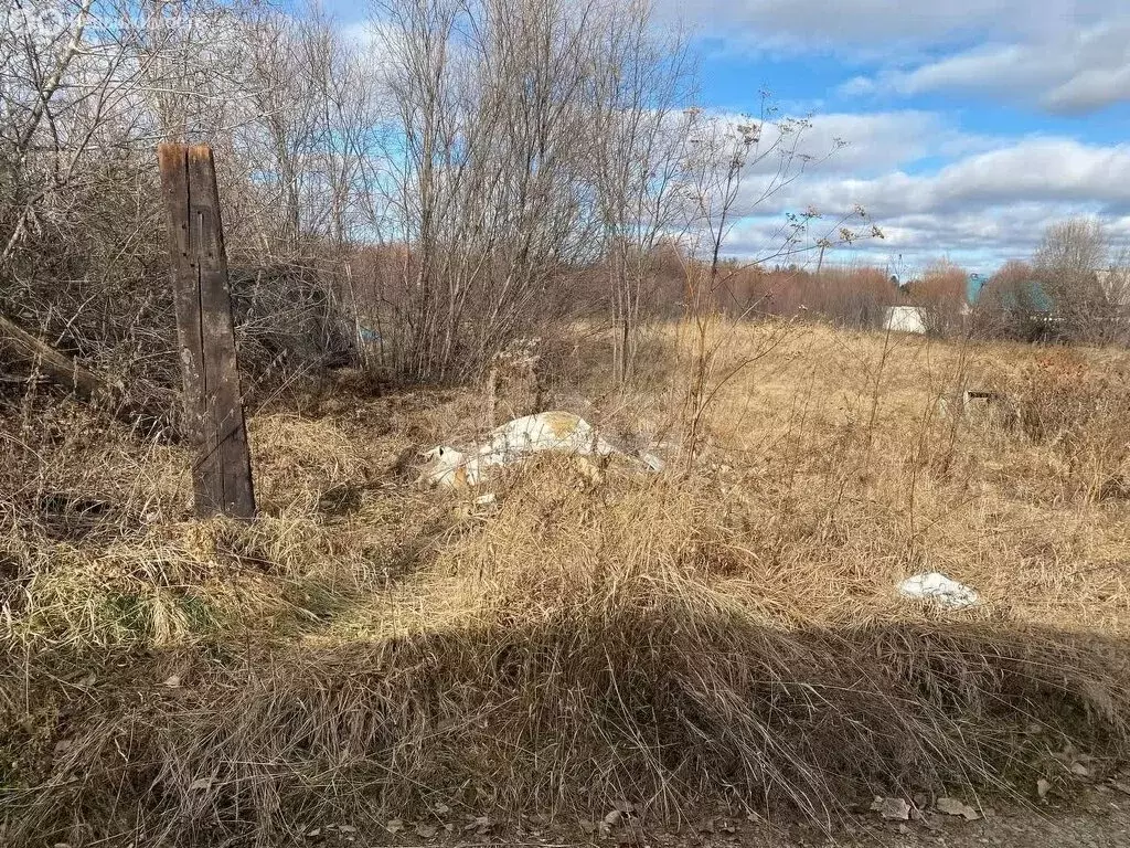 Участок в Большееланское муниципальное образование, ДНТ Калиновка, ... - Фото 1