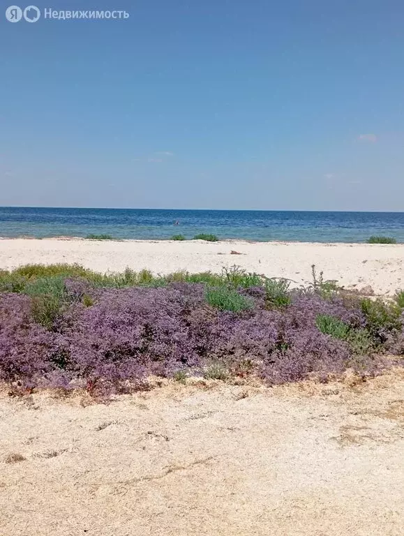 Участок в село Портовое, Морская улица, 4 (20 м) - Фото 0