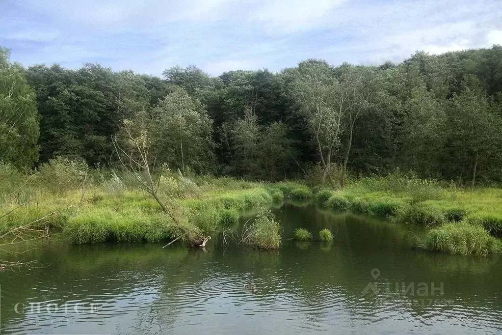 Участок в Московская область, Одинцовский городской округ, д. ... - Фото 2