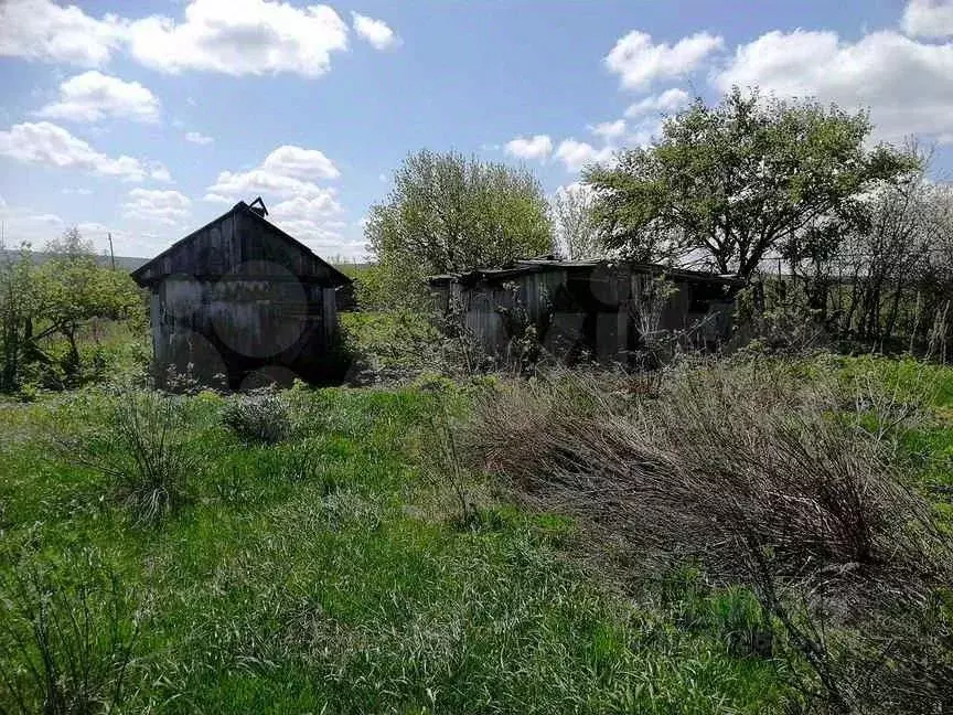 Участок в Саратовская область, Лысогорский район, Большерельненское ... - Фото 0