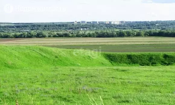 Купить В Каширском Районе