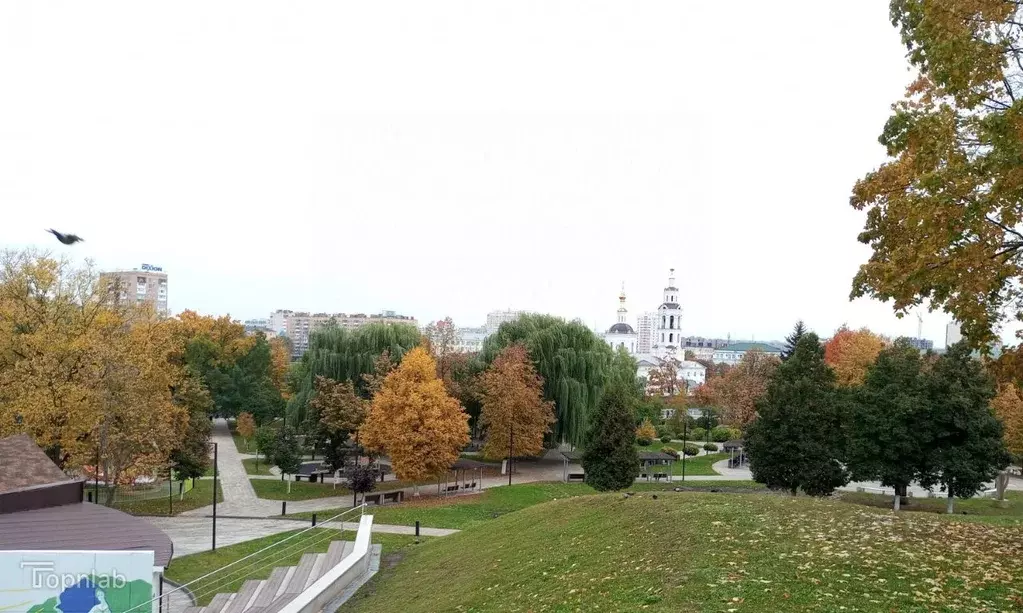 3-к кв. Орловская область, Орел ул. Ленина, 28 (55.3 м) - Фото 2