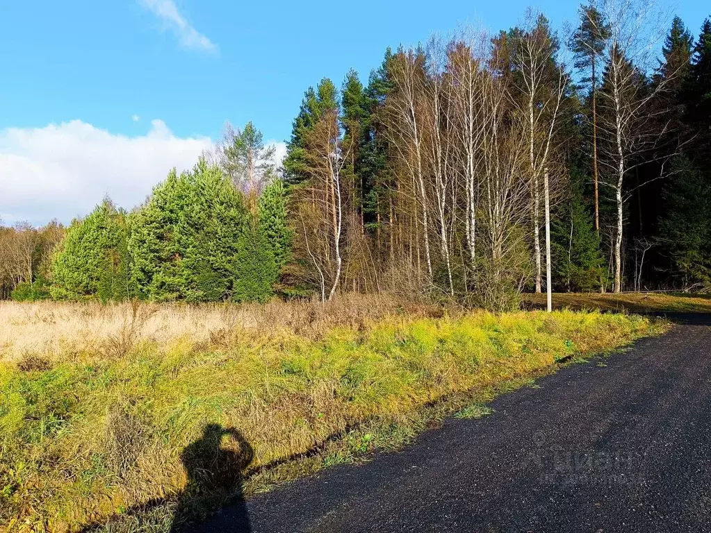 Участок в Московская область, Клин городской округ, Решетниково рп, ... - Фото 0