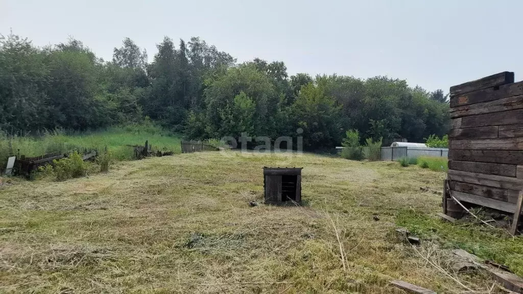 Дом в Амурская область, Белогорск Политехническая ул., 104 (48 м) - Фото 1