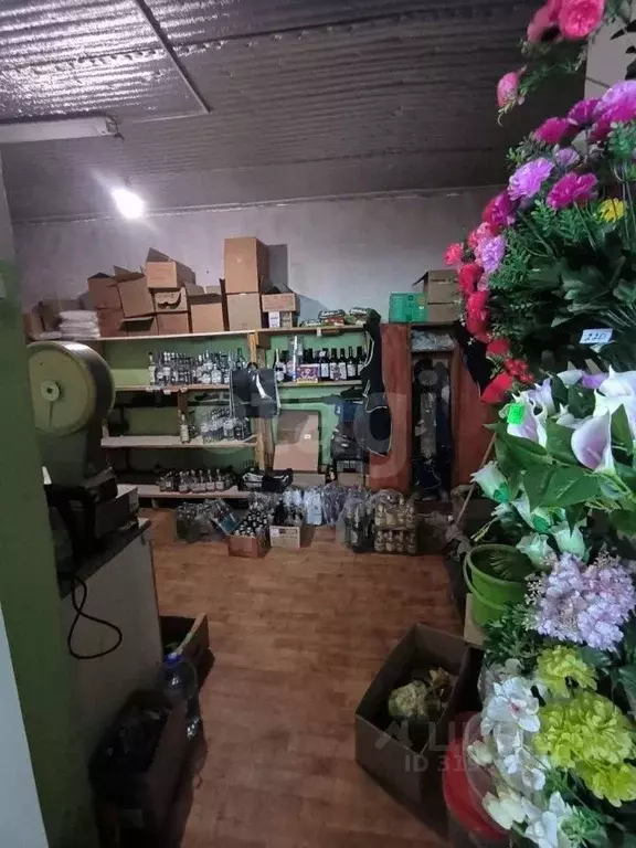 Торговая площадь в Ярославская область, Тутаевский муниципальный ... - Фото 1