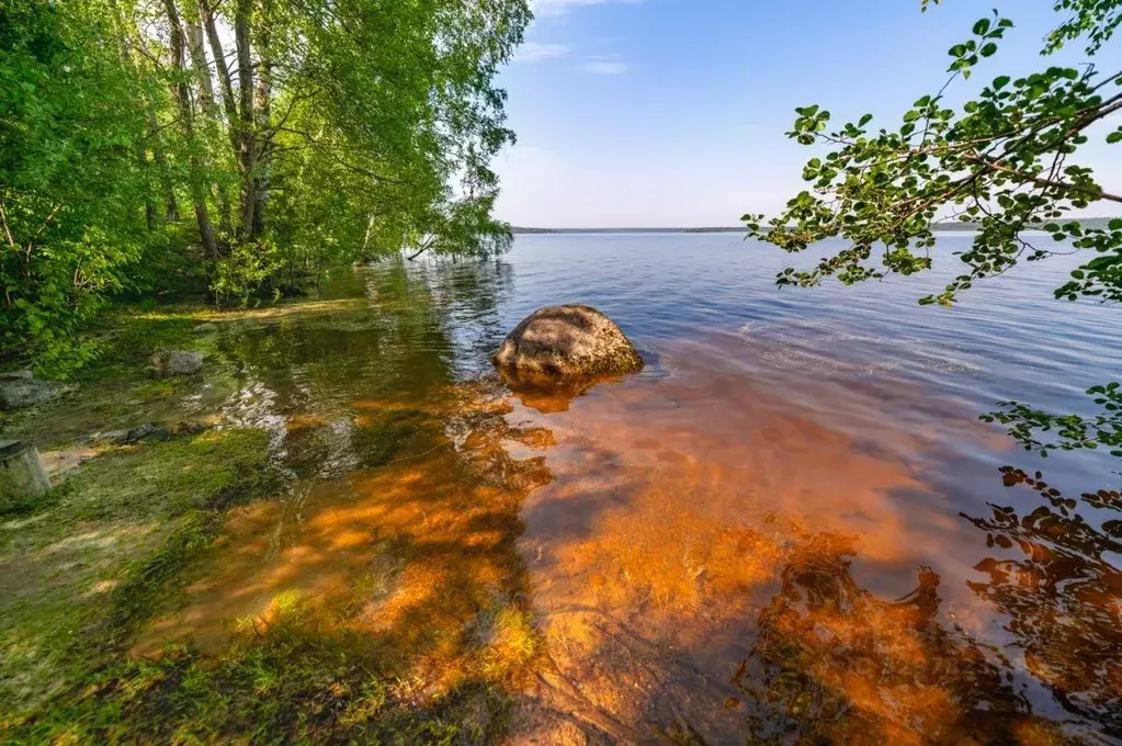 Дом в Ленинградская область, Приозерский район, Громовское с/пос, пос. ... - Фото 2