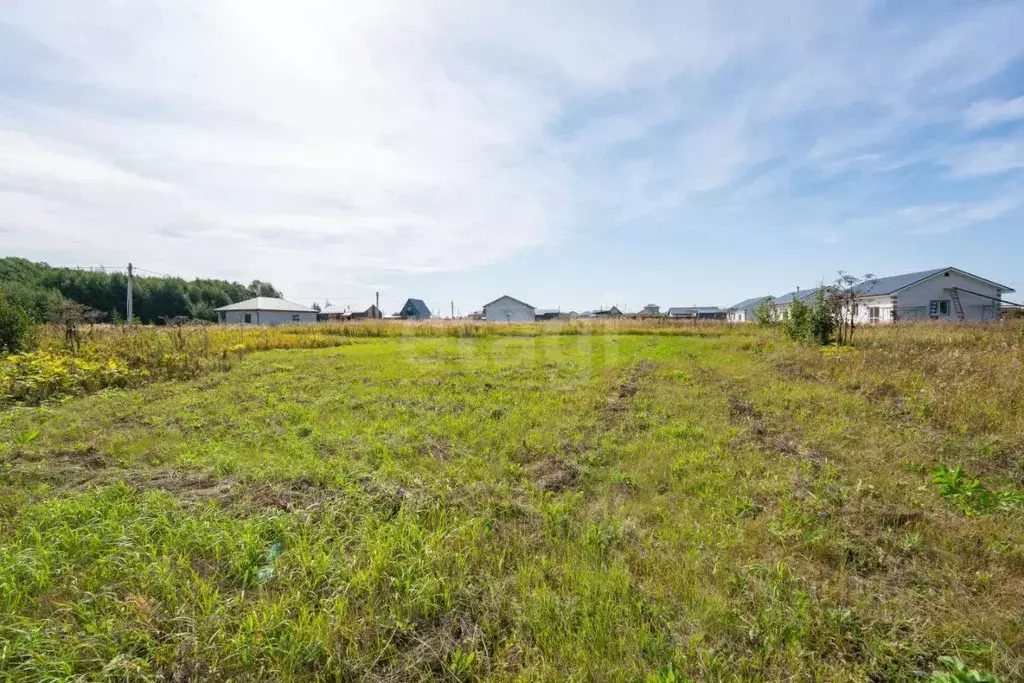 Участок в Пермский край, Пермский муниципальный округ, Мокино Грин кп ... - Фото 1