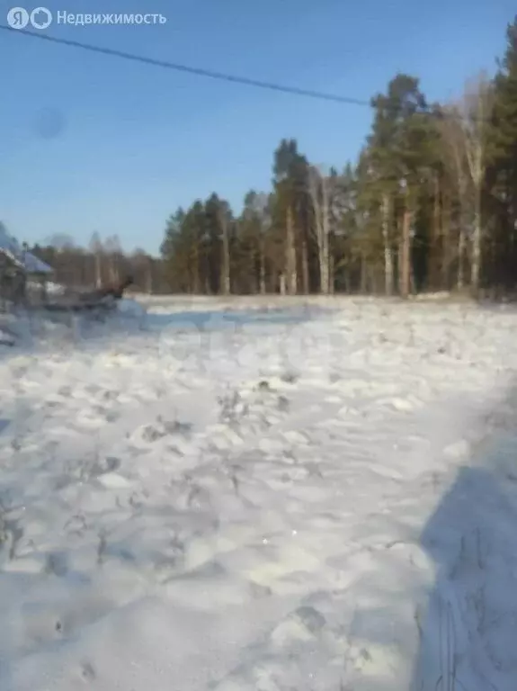 Участок в Верх-Бийск, улица Заимка Кузенская (21.67 м) - Фото 1