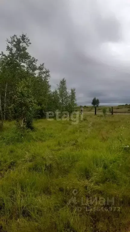 Участок в Забайкальский край, Чита Песчаная ул. (12.0 сот.) - Фото 0