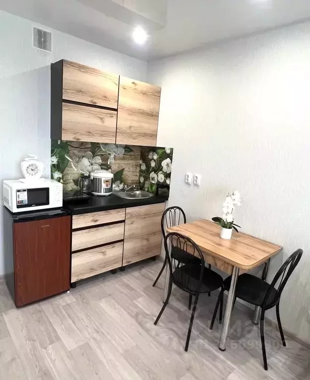 1-к кв. Новосибирская область, Новосибирск ул. Забалуева, 102 (24.0 м) - Фото 1