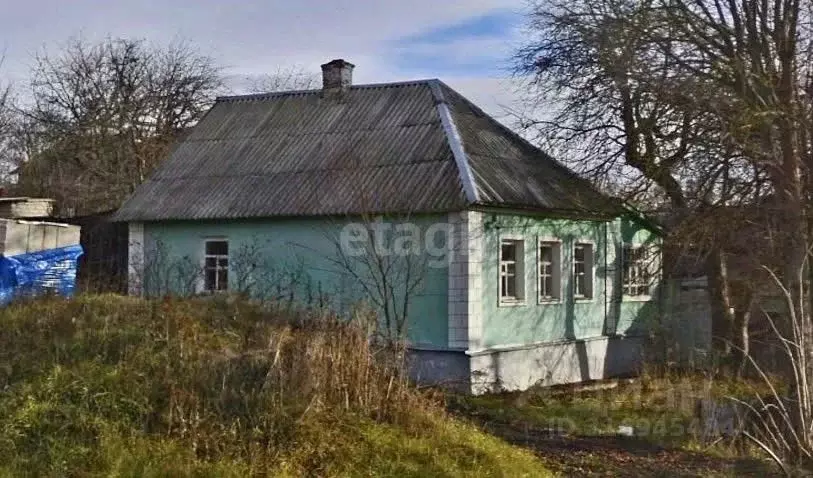 Дом в Белгородская область, Белгородский район, Никольское с/пос, с. ... - Фото 1
