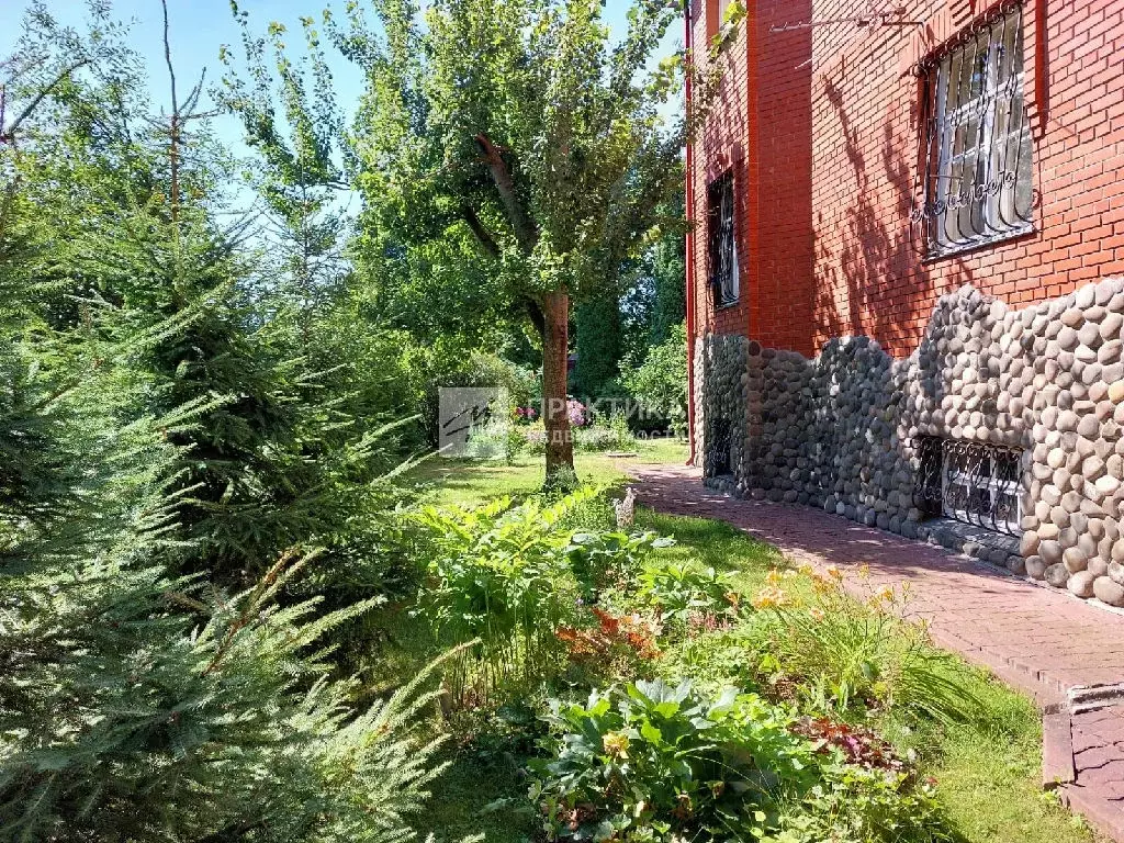 Продается дом в д. Борзые - Фото 2