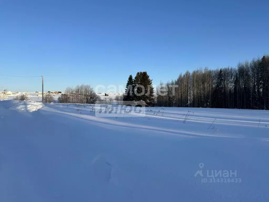 Участок в Удмуртия, Завьяловский район, д. Красный Кустарь ул. ... - Фото 0