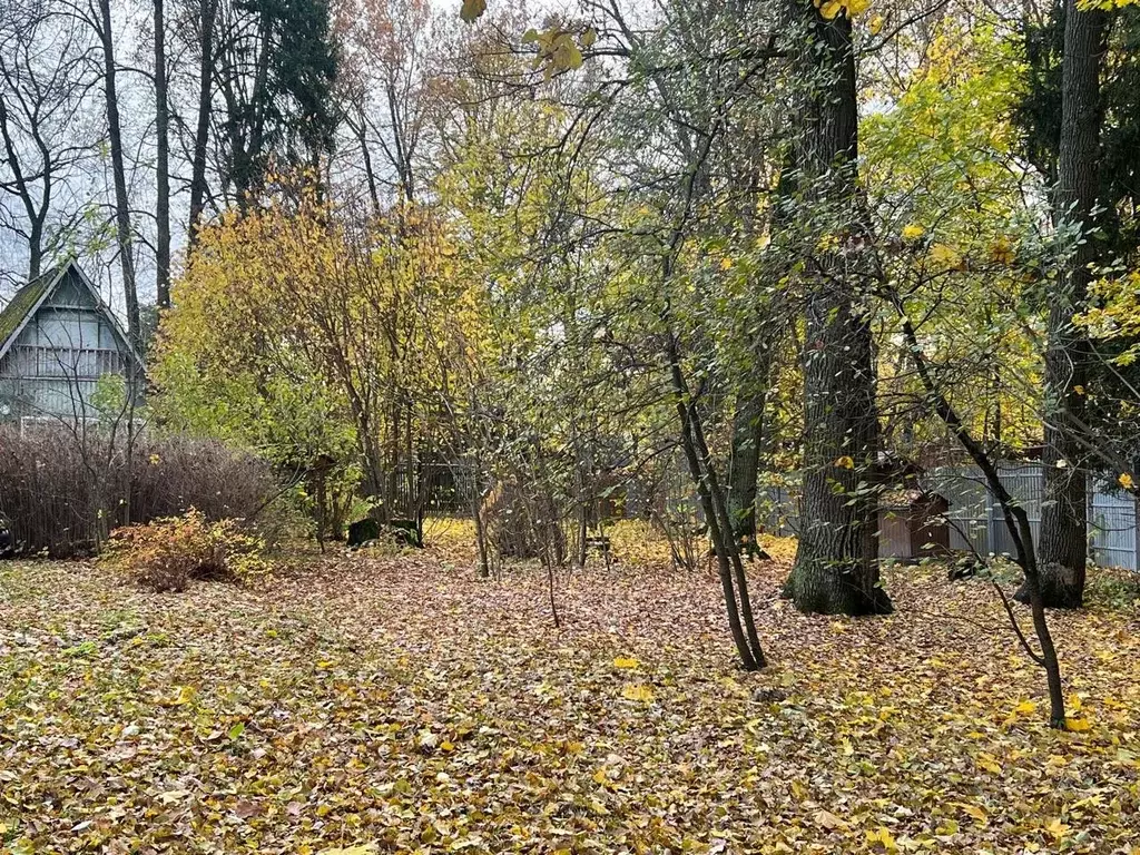 Участок в Московская область, Щелково городской округ, Загорянский пгт ... - Фото 2