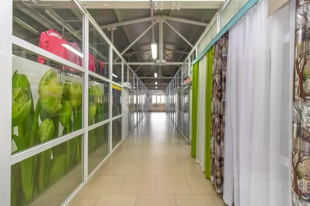 Помещение свободного назначения в Свердловская область, Тавда ул. ... - Фото 1