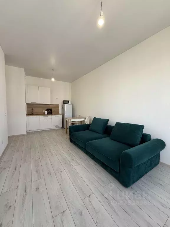 Студия Тюменская область, Тюменский муниципальный округ, с. Ембаево ... - Фото 1