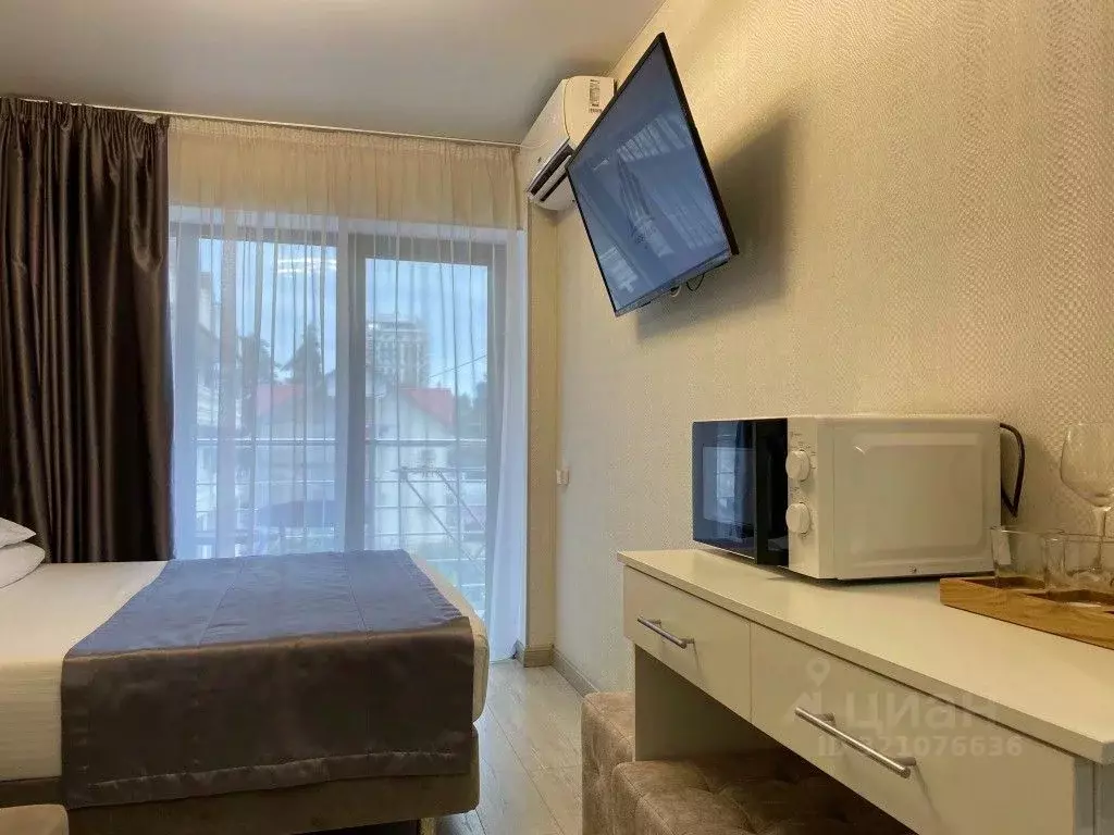 1-к кв. Краснодарский край, Сочи ул. Ленина, 219/5 (18.0 м) - Фото 1
