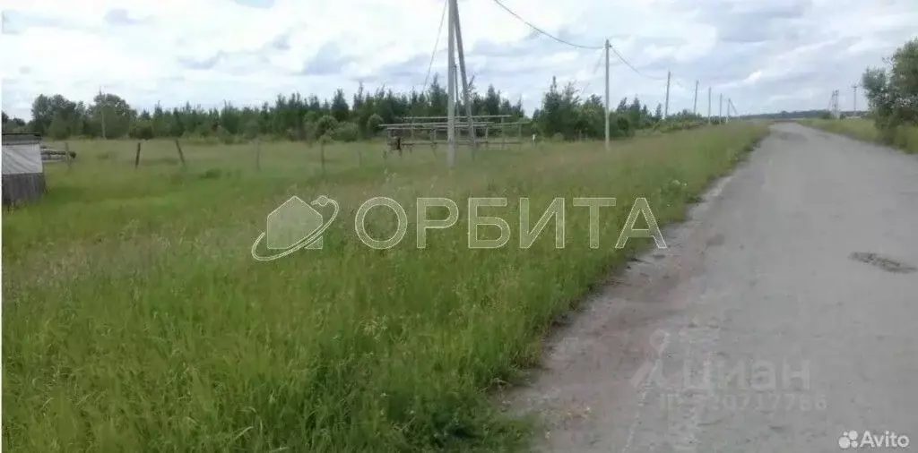 Участок в Свердловская область, Тугулымский муниципальный округ, д. ... - Фото 1