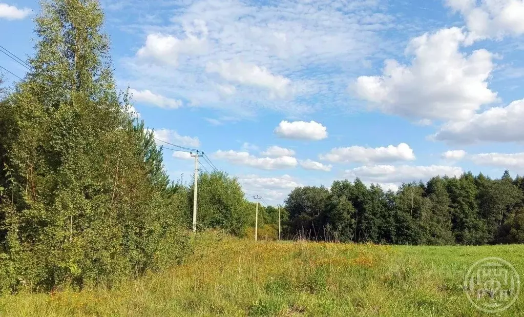 Участок в Ленинградская область, Ломоносовский район, Оржицкое с/пос, ... - Фото 1
