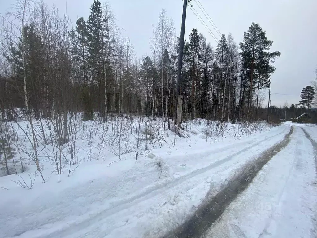 Участок в Свердловская область, Новоуральск ул. Мичурина (20.0 сот.) - Фото 1