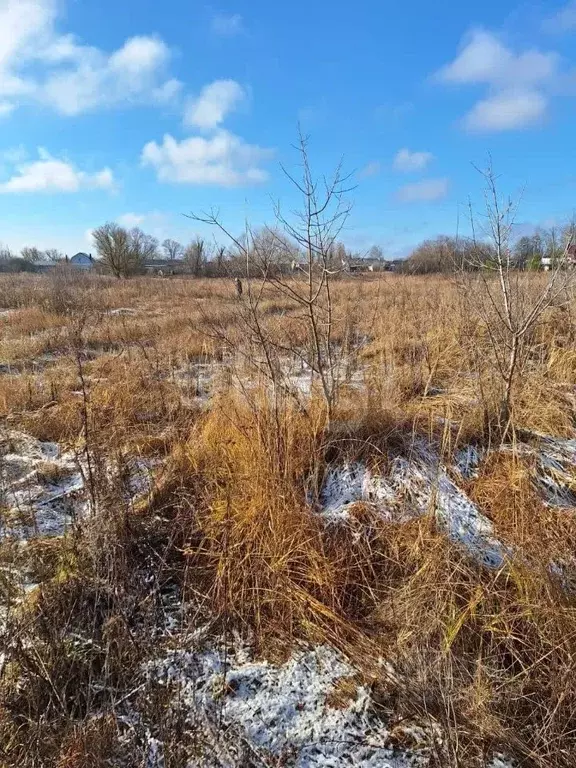 Участок в Воронежская область, Новоусманский район, Хреновское с/пос, ... - Фото 2