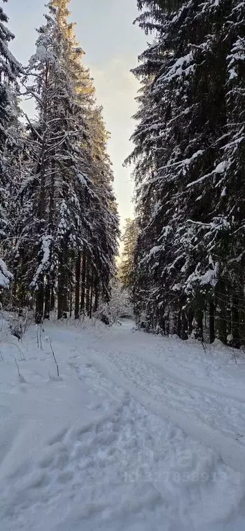 Участок в Ленинградская область, Всеволожск просп. Грибоедова (100.0 ... - Фото 1
