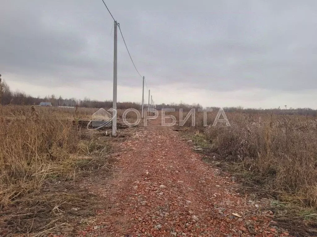 Участок в Тюменская область, Нижнетавдинский район, Душевное садовое ... - Фото 1