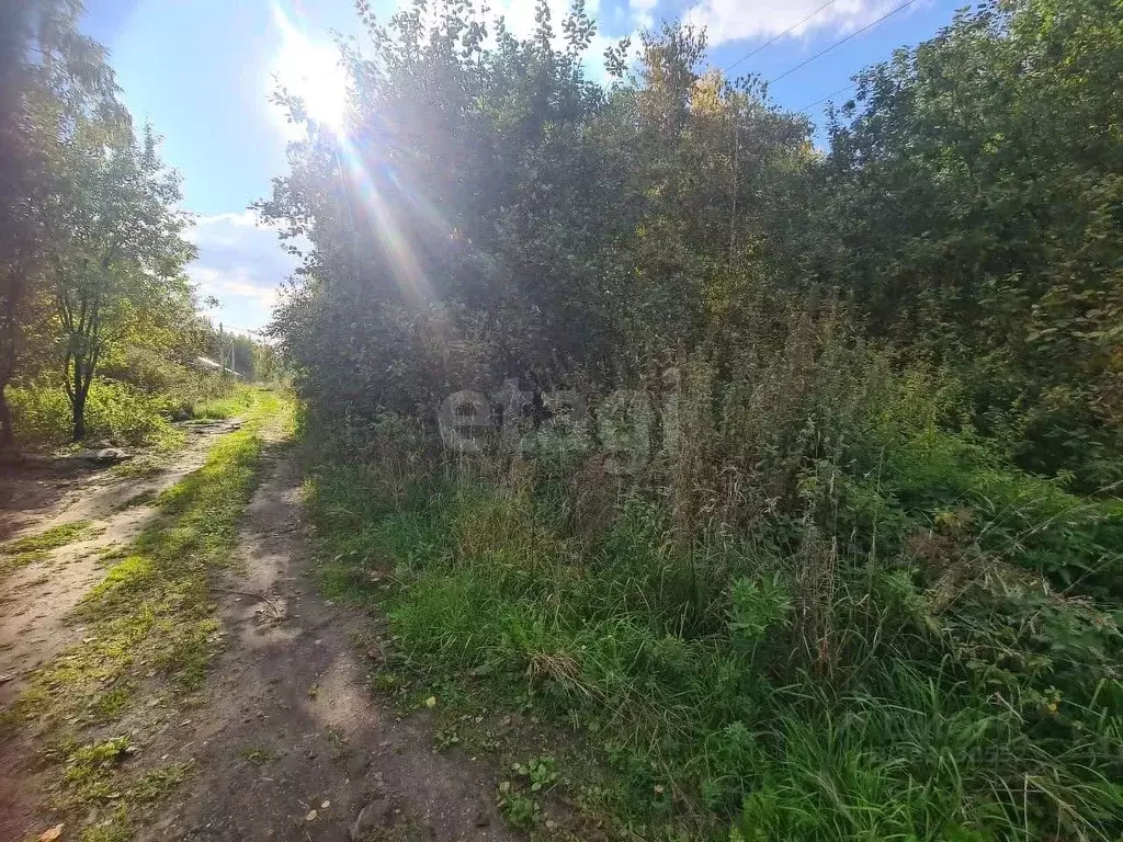 Участок в Новосибирская область, Новосибирск 2-й Биатлонный пер. (6.78 ... - Фото 1