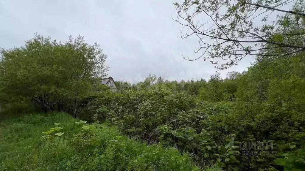 Участок в Сахалинская область, Анивский городской округ, с. Троицкое, ... - Фото 1