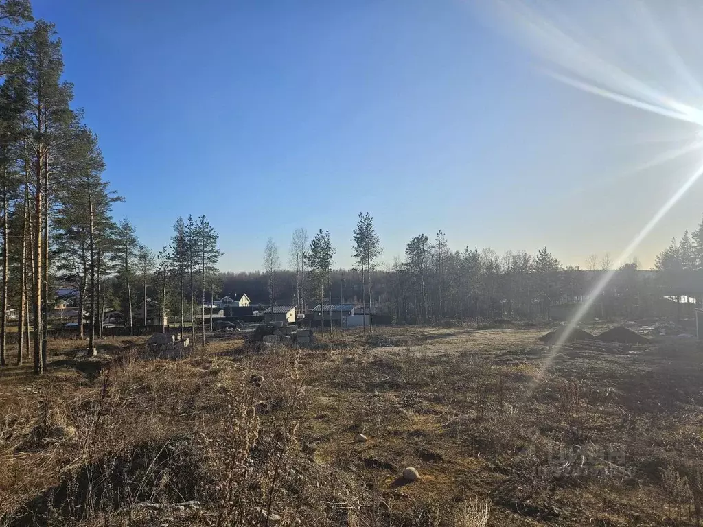 Участок в Карелия, Прионежский район, Шуйское с/пос, д. Верховье  ... - Фото 1