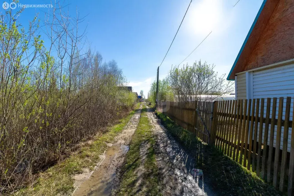 Участок в Тюмень, садовое товарищество Ивушка, Вишнёвая улица (4.7 м) - Фото 1
