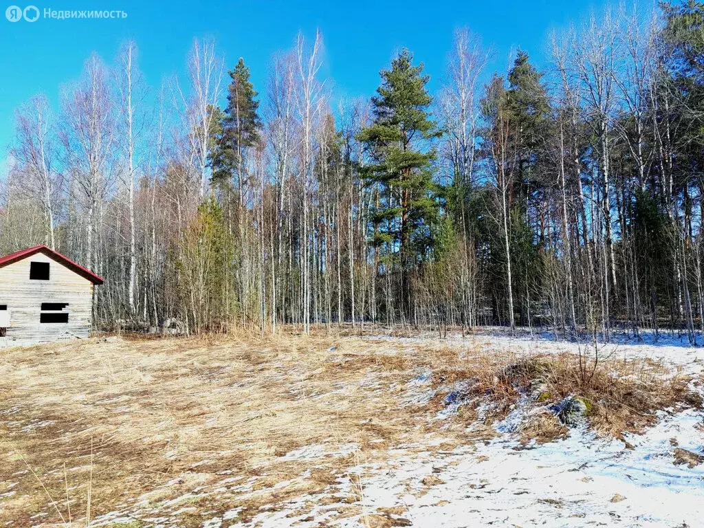 Участок в Прионежский район, Шуйское сельское поселение, деревня ... - Фото 0