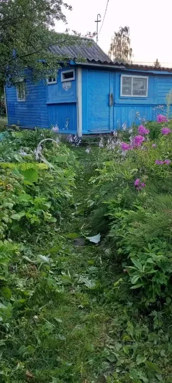 Участок в Новгородская область, Новгородский район, Панковское ... - Фото 1