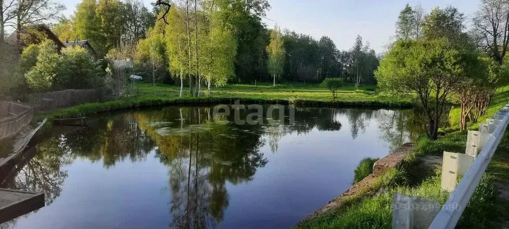 Участок в Ленинградская область, Гатчинский район, д. Лампово  (12.0 ... - Фото 0