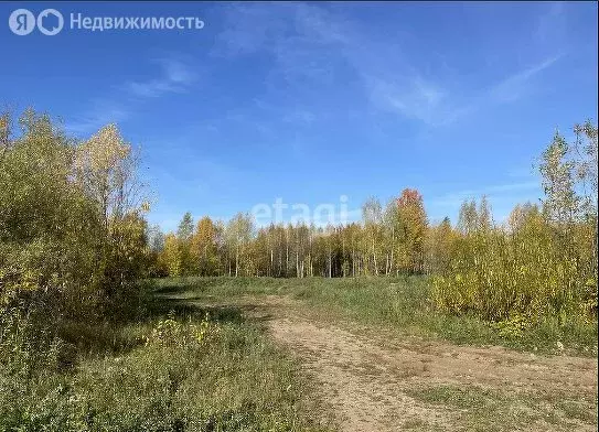 Помещение свободного назначения (112.4 м) - Фото 0