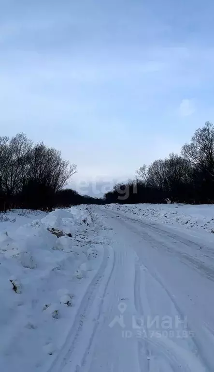 Участок в Сахалинская область, Анивский городской округ, с. ... - Фото 0