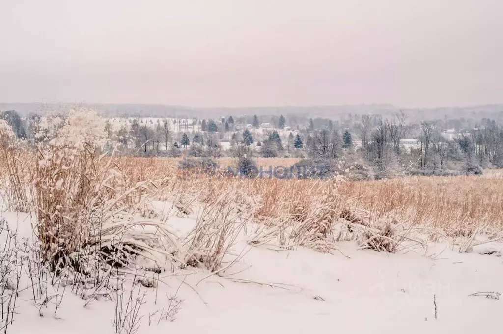 Участок в Нижегородская область, Балахнинский муниципальный округ, ... - Фото 0