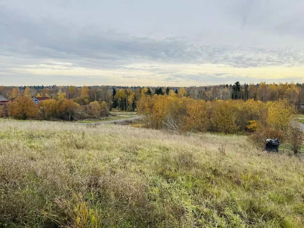 Участок в Ленинградская область, Всеволожский район, Лесколовское ... - Фото 0