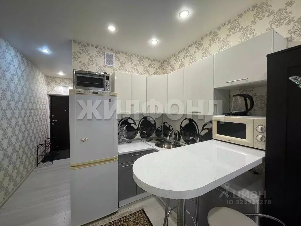 Студия Новосибирская область, Новосибирск ул. Героев Революции, 21 ... - Фото 2