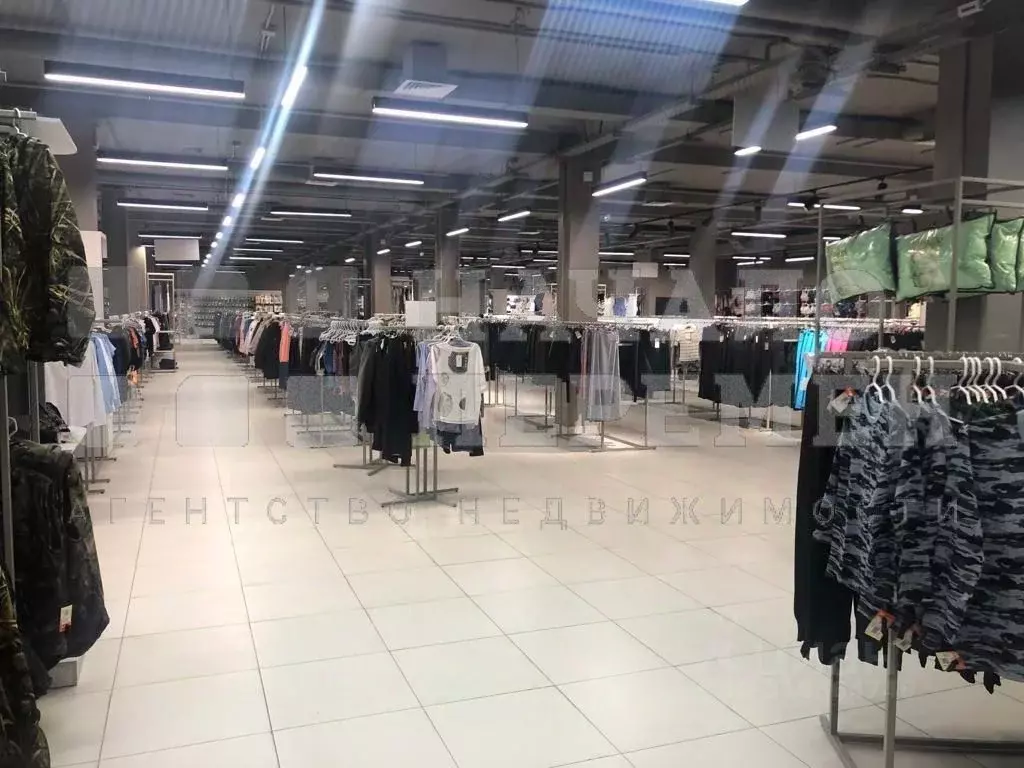 Помещение свободного назначения в Новосибирская область, Новосибирск ... - Фото 0