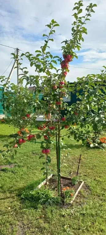 Дом в Иркутская область, Иркутский муниципальный округ, Экспресс СНТ ... - Фото 0