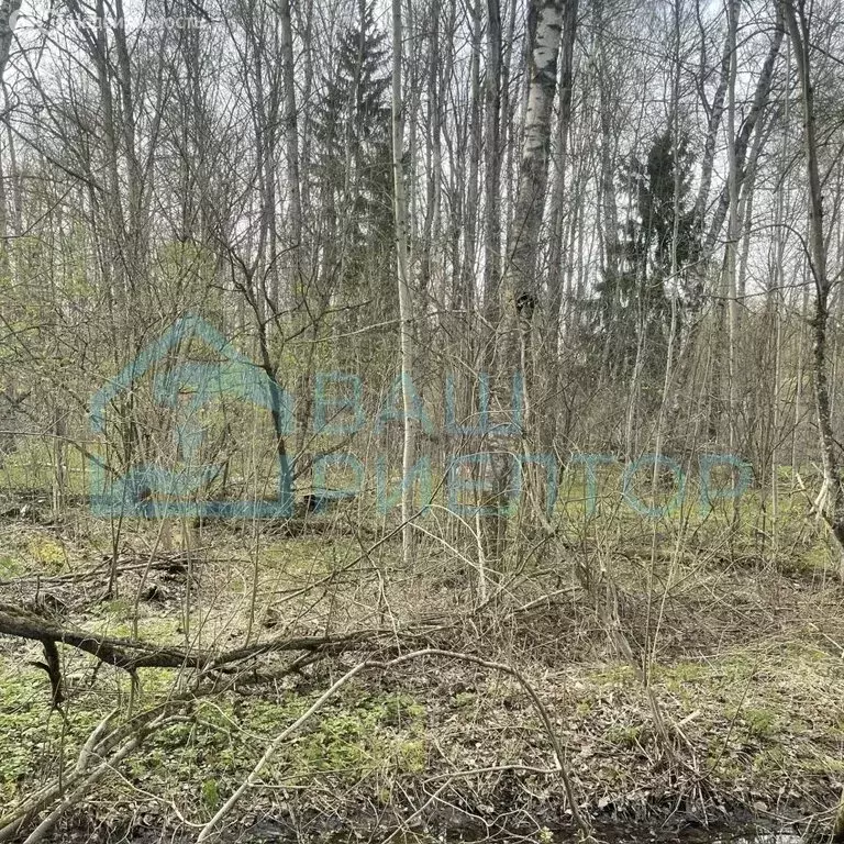 Участок в Калужская область, Боровский муниципальный округ, Балабаново ... - Фото 2