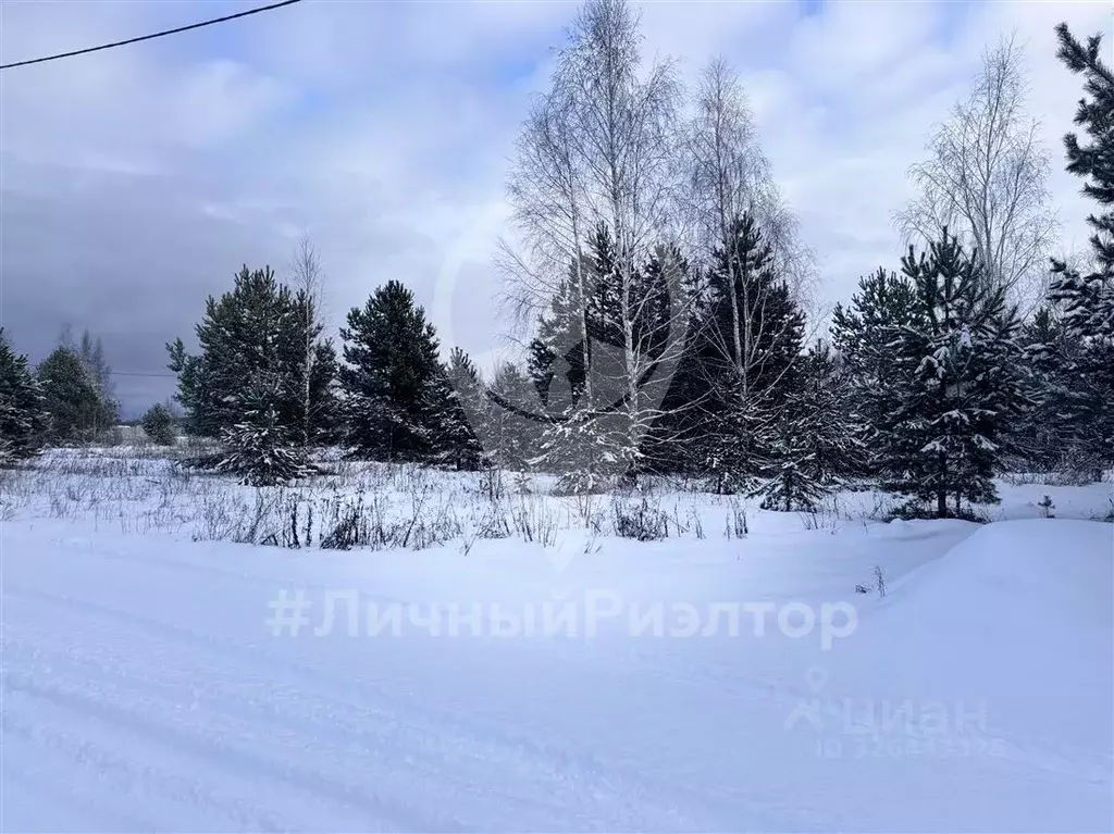 Участок в Рязанская область, Рязанский муниципальный округ, с. ... - Фото 1