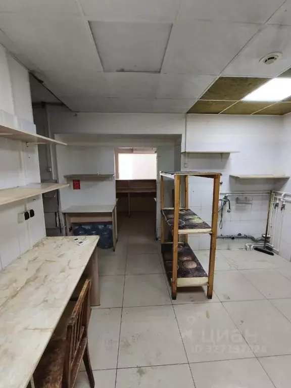 Помещение свободного назначения в Брянская область, Брянск бул. 50 лет ... - Фото 2