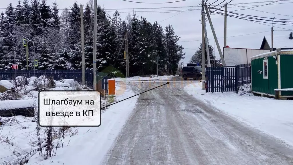 Участок в Ленинградская область, Всеволожский район, Лесколовское ... - Фото 1