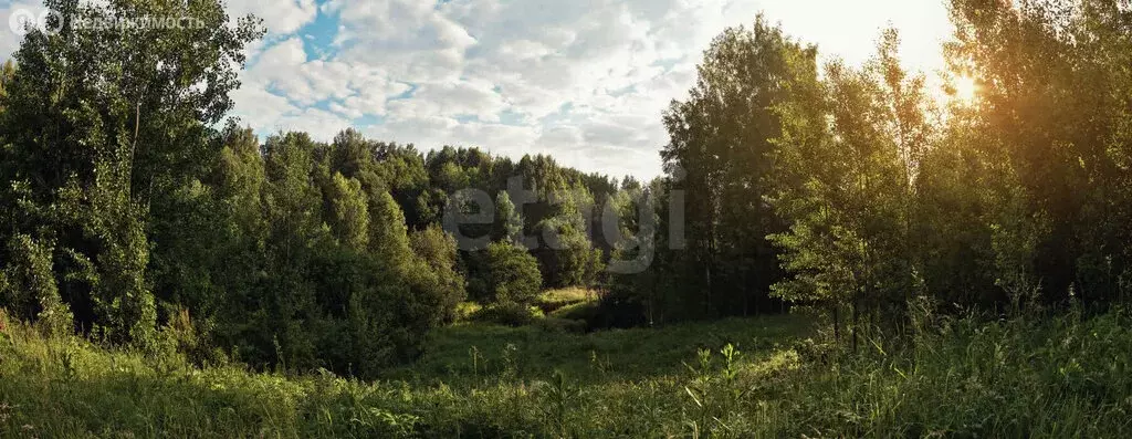 Участок в Калининградская область, Гурьевский муниципальный округ, ... - Фото 1