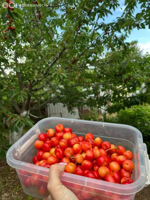 Дом в Волгоград, Тракторозаводский район (26 м) - Фото 2
