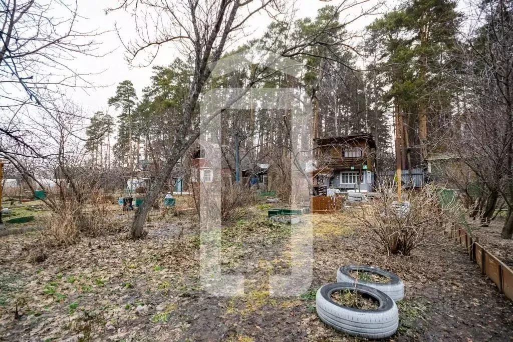 Участок в Свердловская область, Екатеринбург Маяк СНТ, 17 (6.0 сот.) - Фото 1