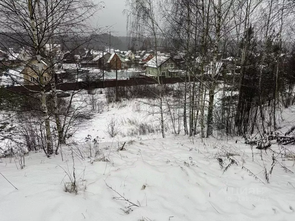 Участок в Московская область, Пушкинский городской округ, д. Лепешки  ... - Фото 0